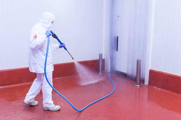 Professional  Pressure Washing Services in Bedford, TX